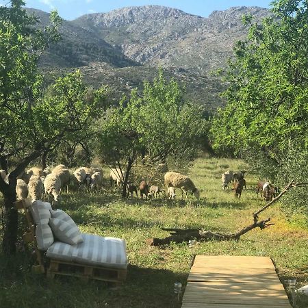 Casa La Plana Villa Orba Dış mekan fotoğraf
