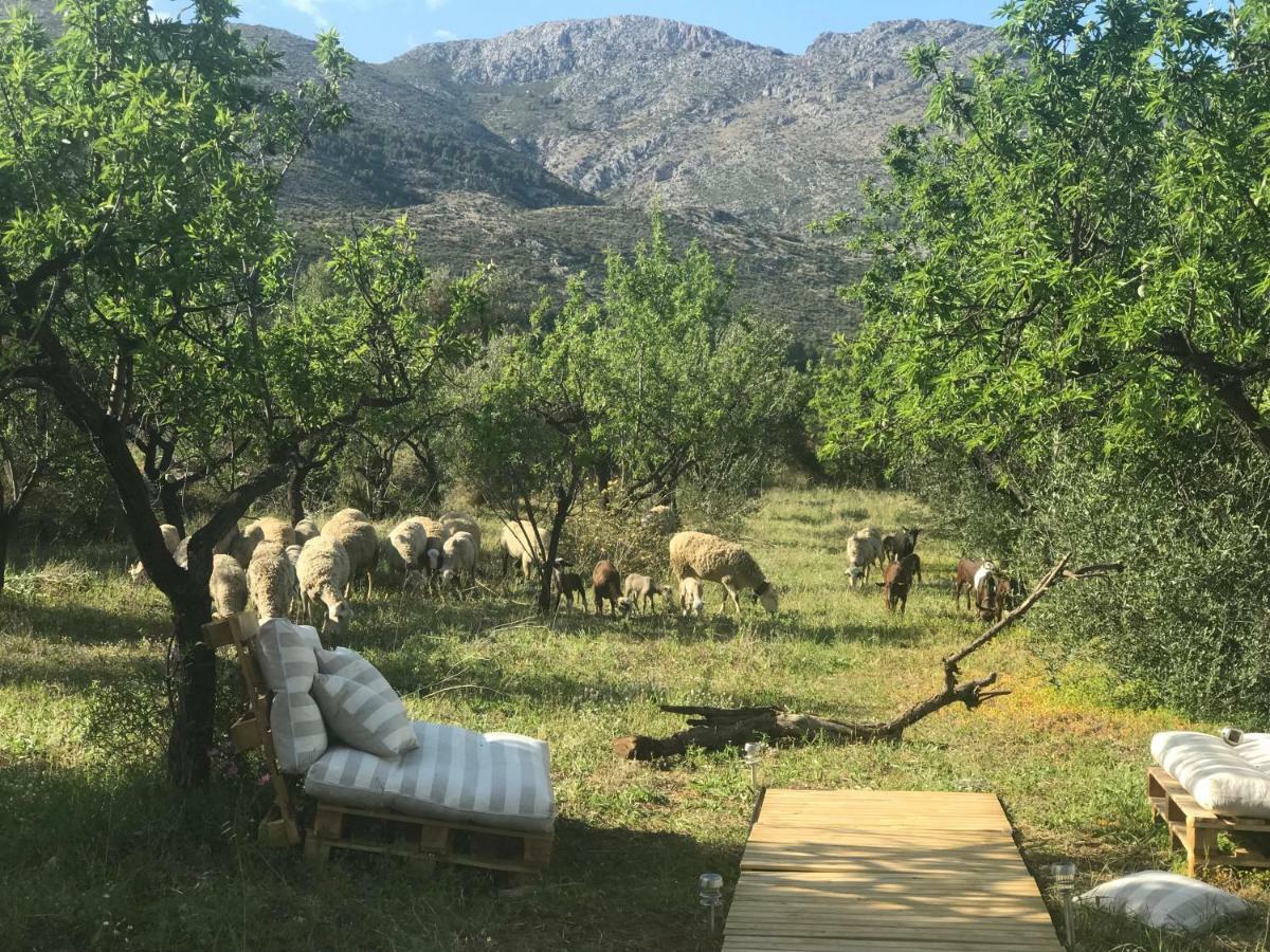 Casa La Plana Villa Orba Dış mekan fotoğraf